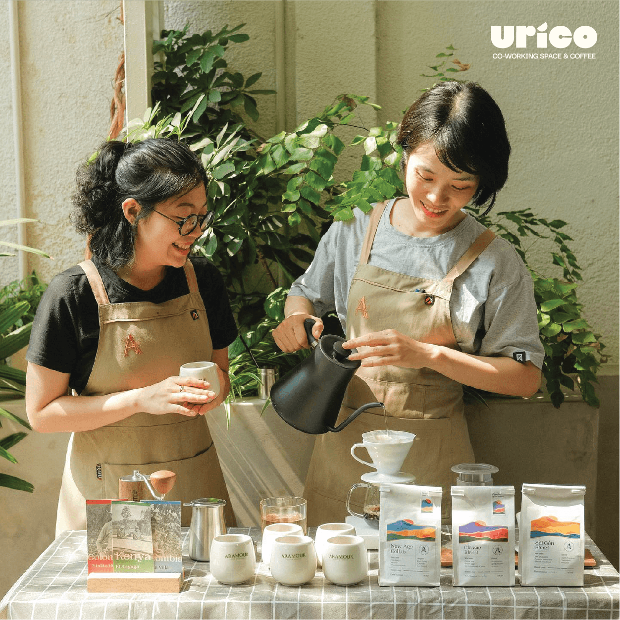 urico opening